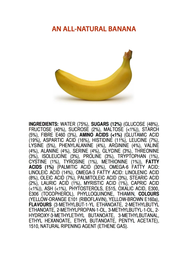 ingredients-of-a-banana-poster-4.jpeg?w=