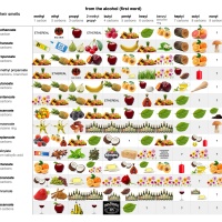 Infographic: Table of Esters and their Smells