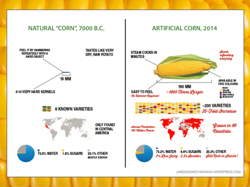 infographic-corn1.png?w=256&h=&zoom=2